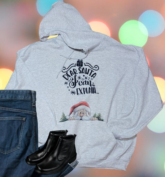 Dear Santa, I Can Explain Hooded Sweatshirt