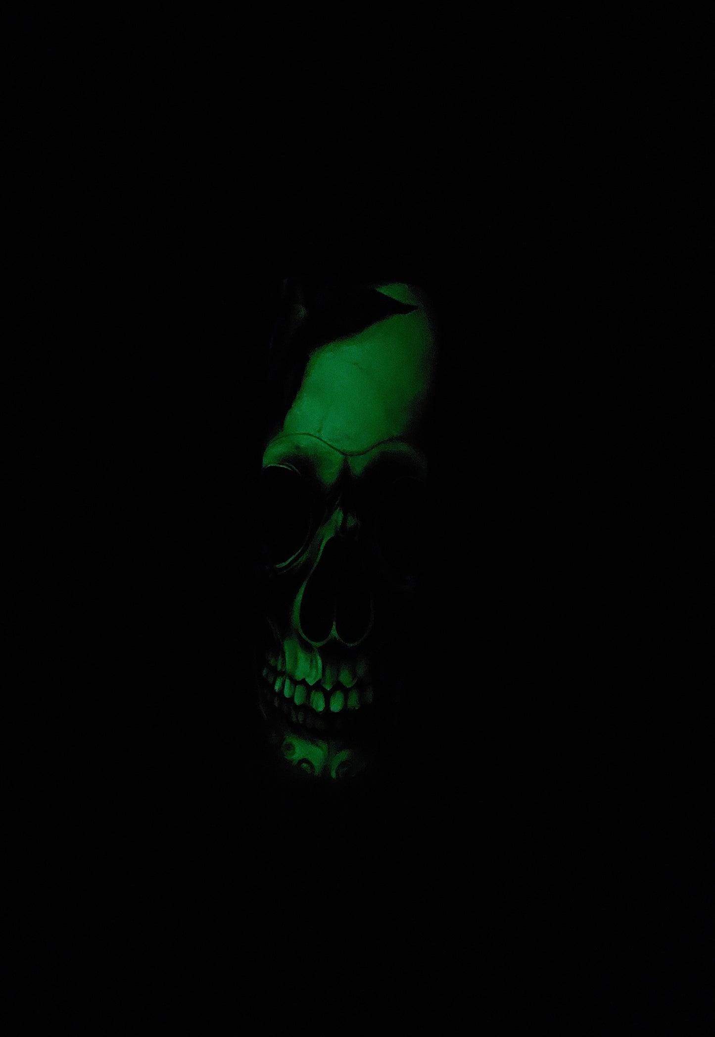 Skull with Roses GLOW IN THE DARK 20oz Tumbler